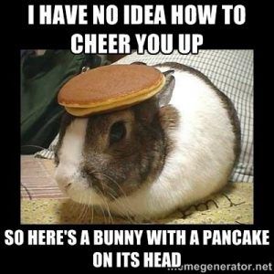 These Cheer Up Memes Are Sure To Raise A Smile | Cheer Up Funny, Funny  Animal Memes, Cheer Someone Up