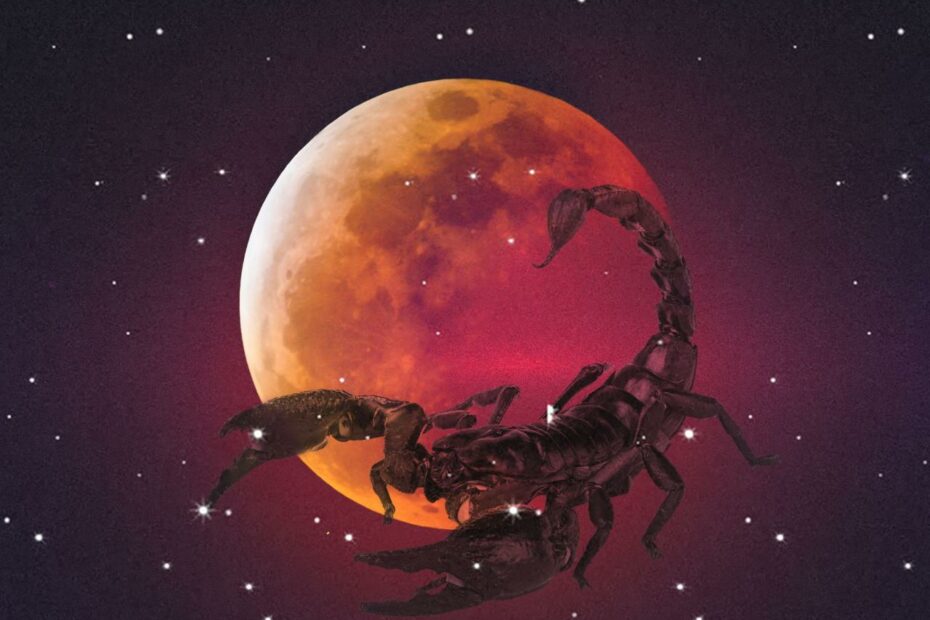 Full Moon In Scorpio: Mặt Trăng Rằm Trong Cung Bọ Cạp