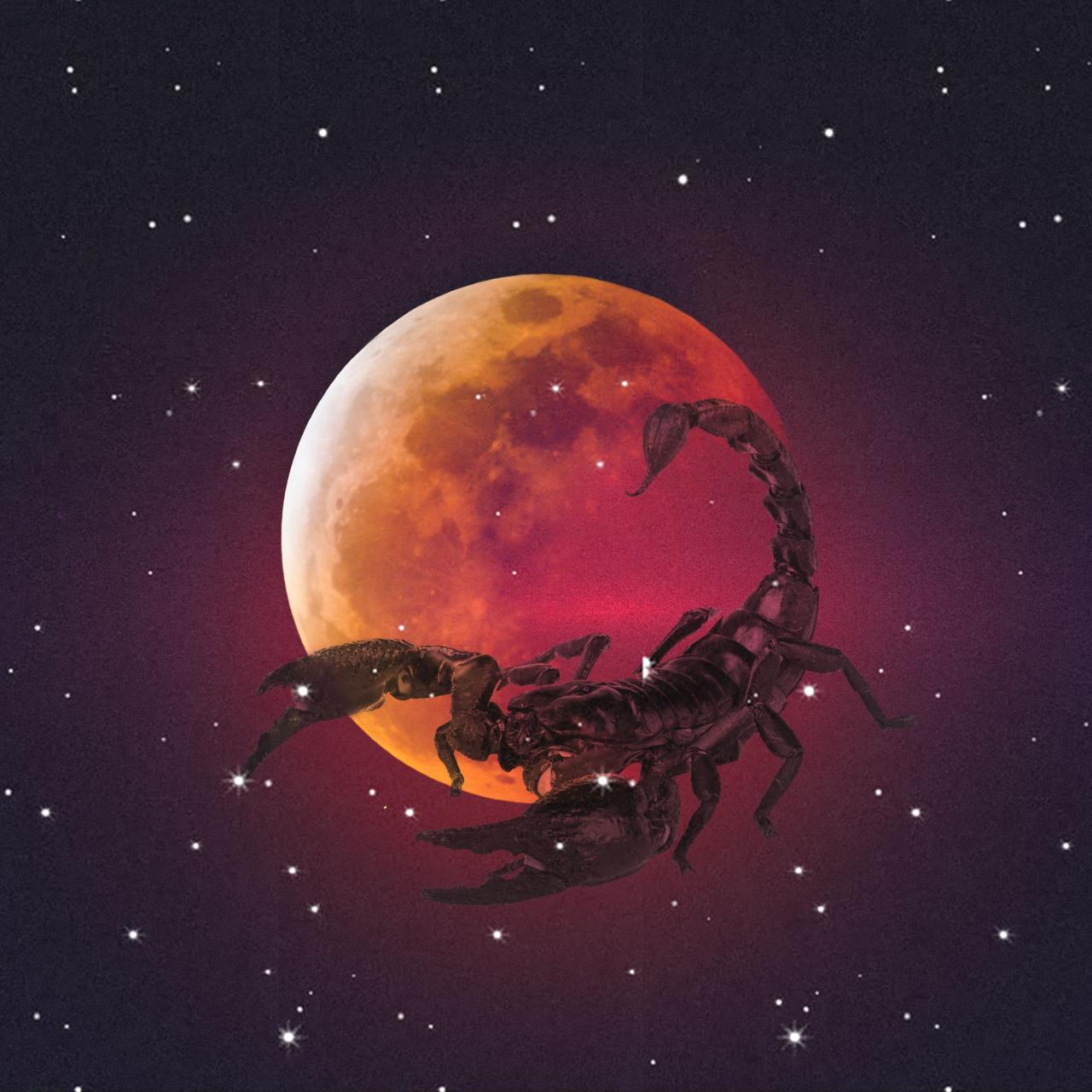 Scorpio Flower Moon Lunar Eclipse: What It Means For Your Sign