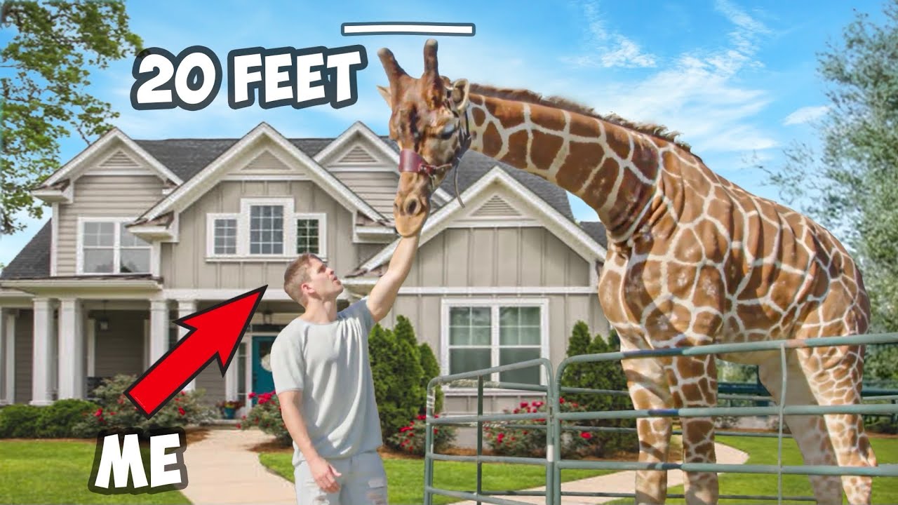 How Much Do Giraffes Cost