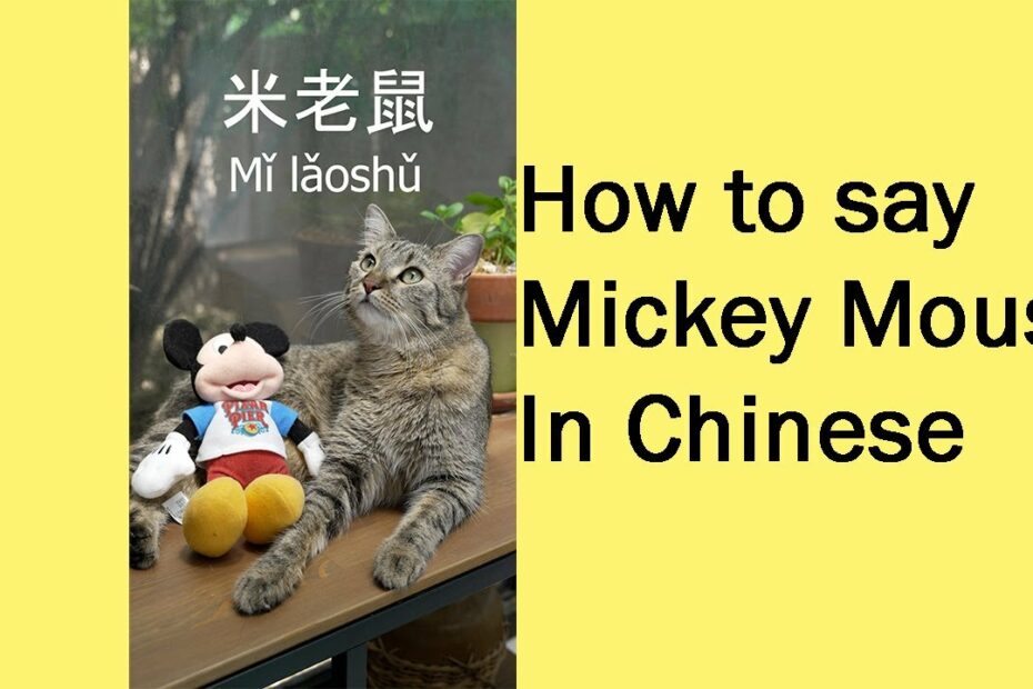 How Do You Say Mickey Mouse In Chinese? Update New