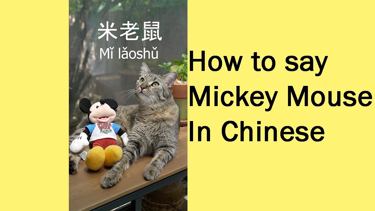 How Do You Say Mickey Mouse In Chinese