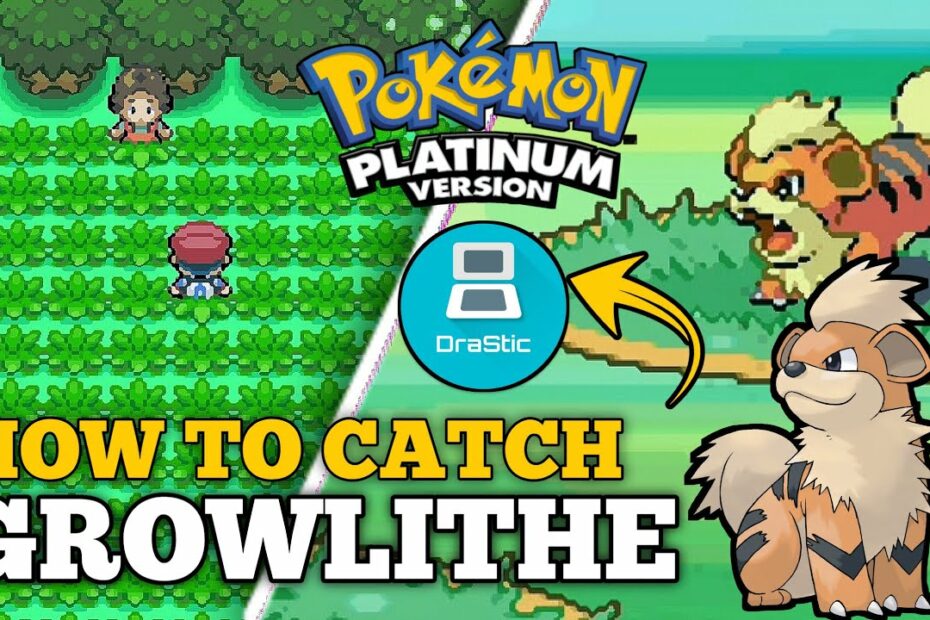 Pokemon Platinum How To Get Growlithe? New