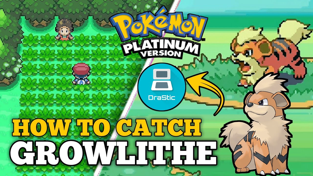 Pokemon Platinum How To Get Growlithe