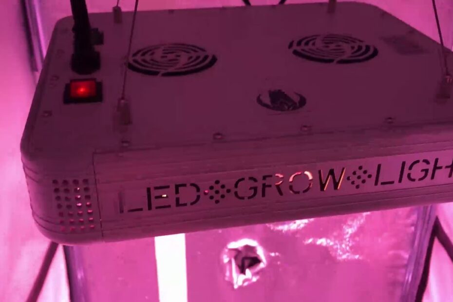 How To Hang Light In Grow Tent? New