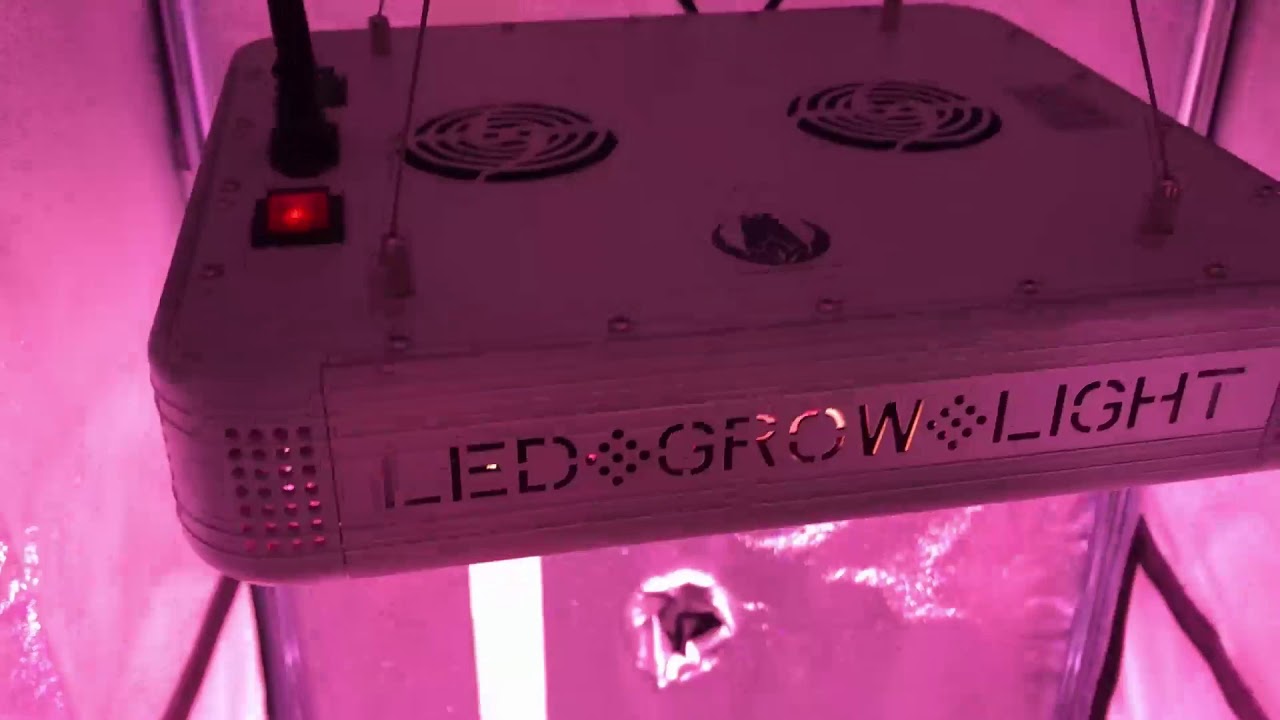 How To Hang Light In Grow Tent