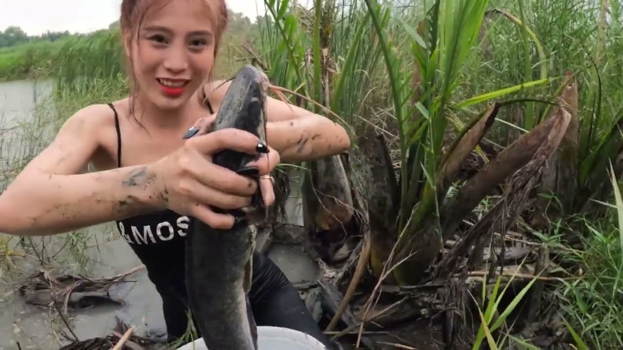 Cận Cảnh Em Gái Xinh Xắn Bắt Cá Trê Khủng - Thùy Dương Miền Tây - Youtube