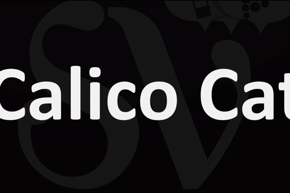 How To Pronounce Calico Cat? Update New