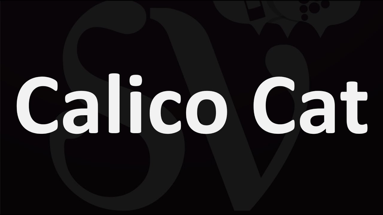 How To Pronounce Calico Cat