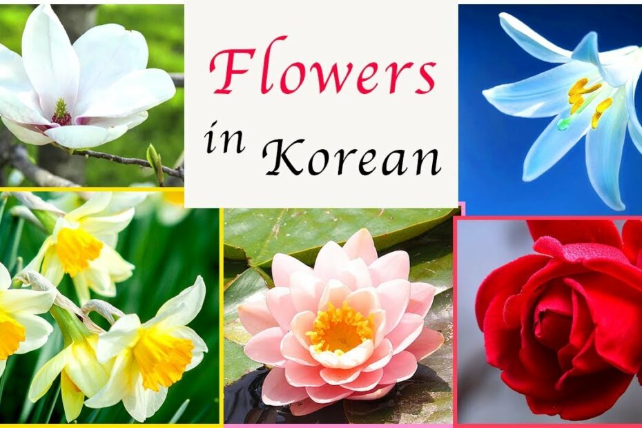 How To Say Flower In Korean? Update New