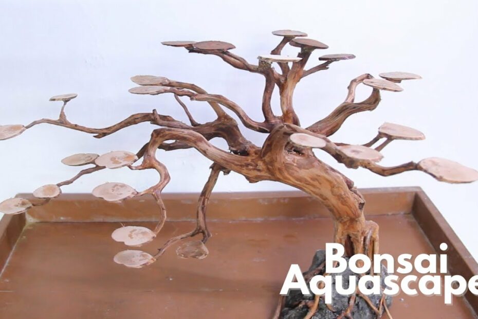 How To Make Bonsai Driftwood For Aquarium