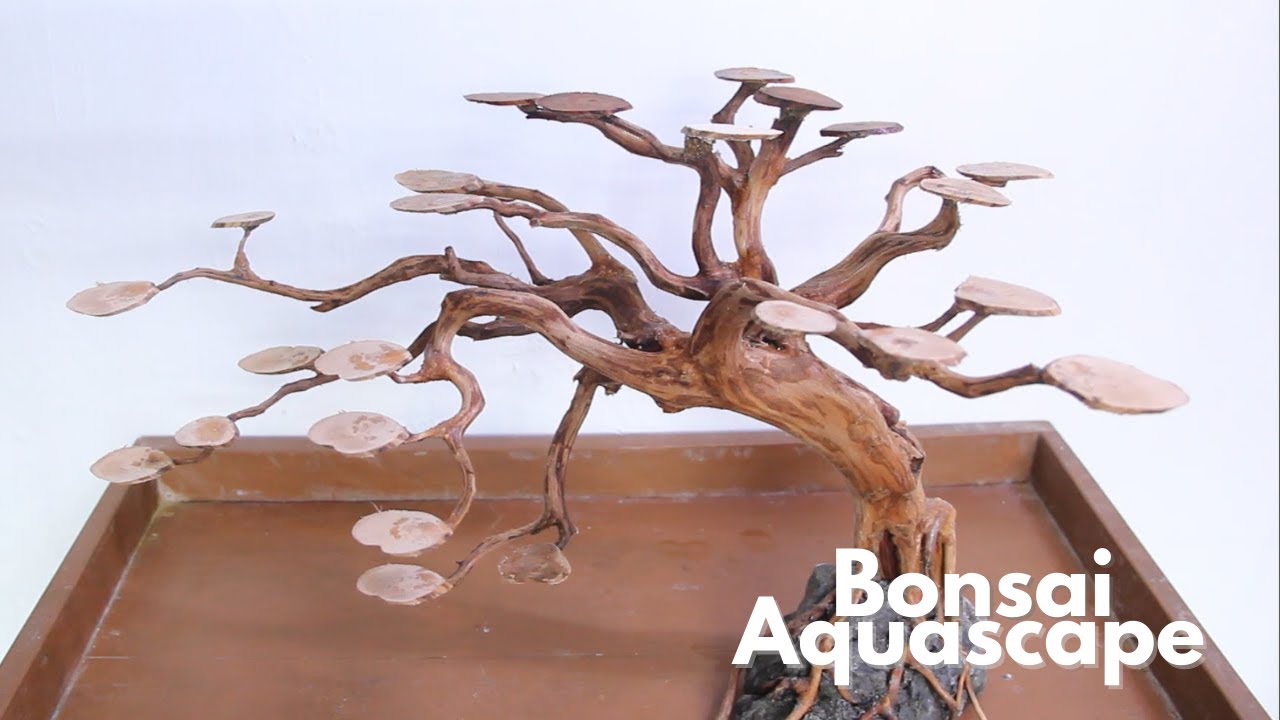 How To Make Bonsai Driftwood For Aquarium