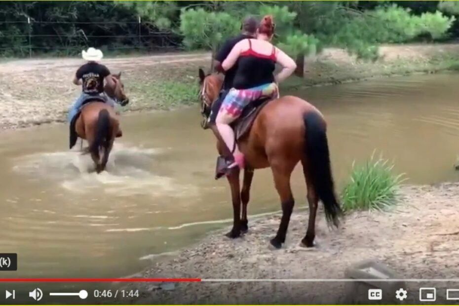 How Much Weight Can An 11 Hand Pony Carry