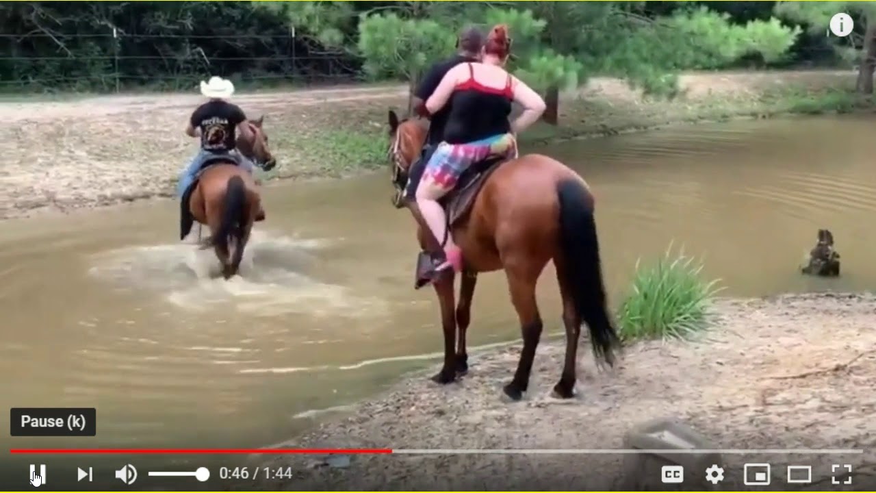 How Much Weight Can An 11 Hand Pony Carry