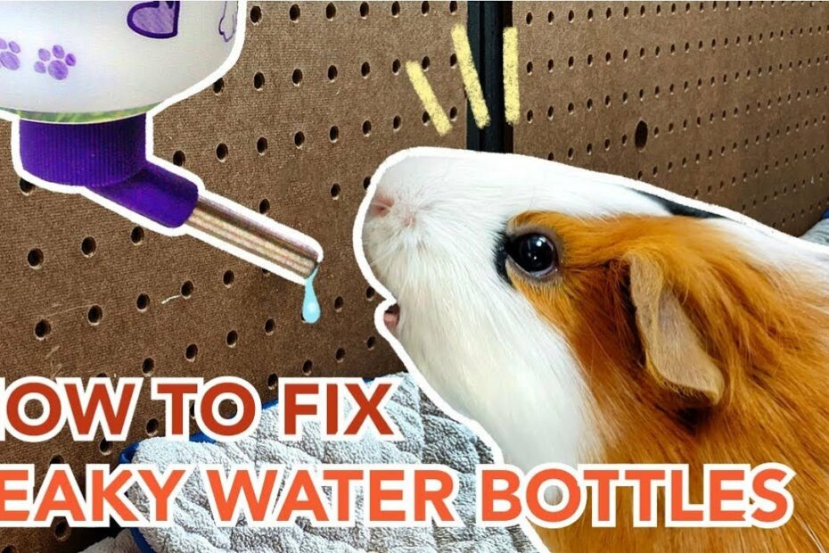 How To Fix A Leaky Rabbit Water Bottle