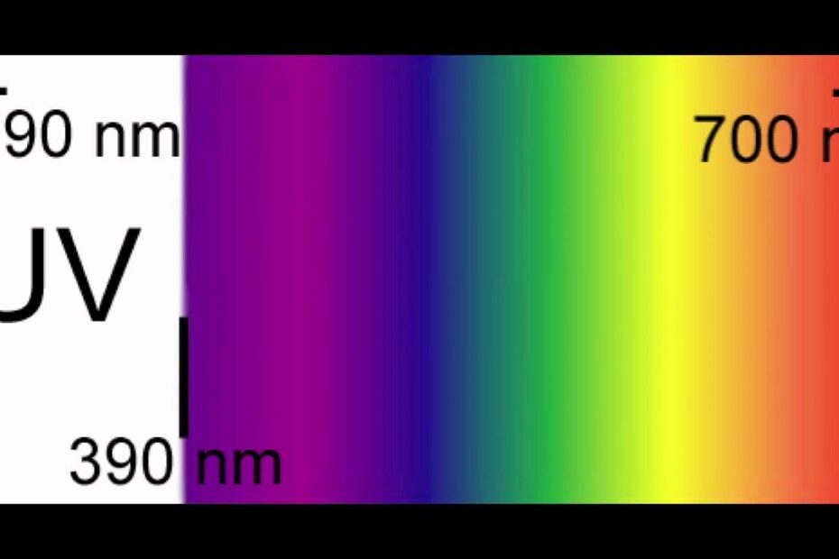 How To Remove Crystal Violet Stain From Floor