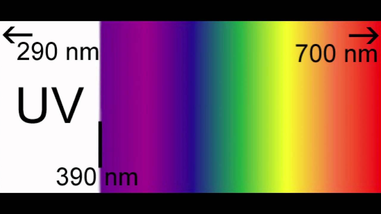 How To Remove Crystal Violet Stain From Floor