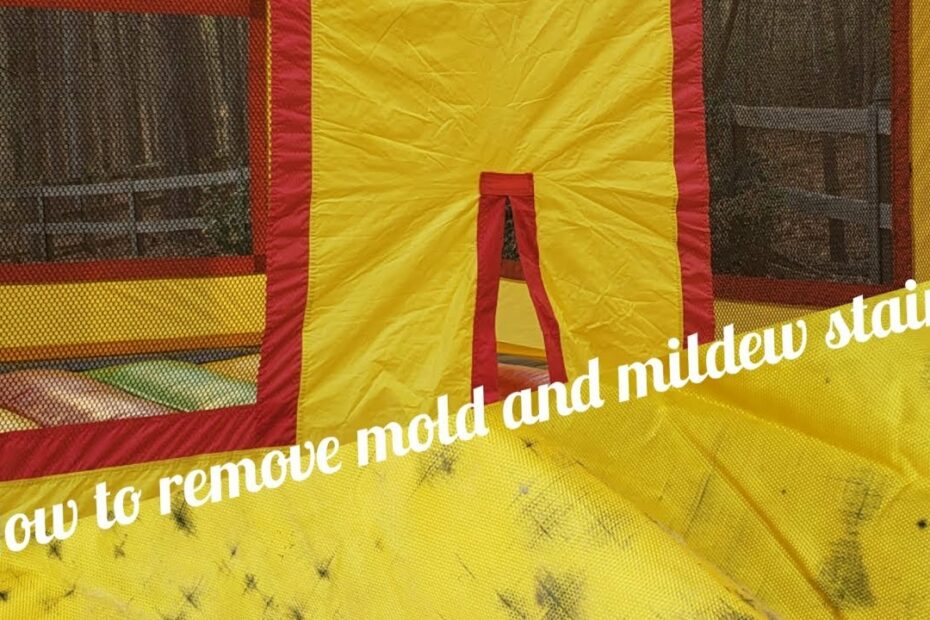 How To Clean Bounce House Mold