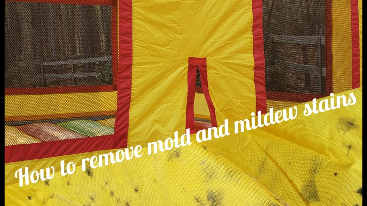 How To Clean Bounce House Mold