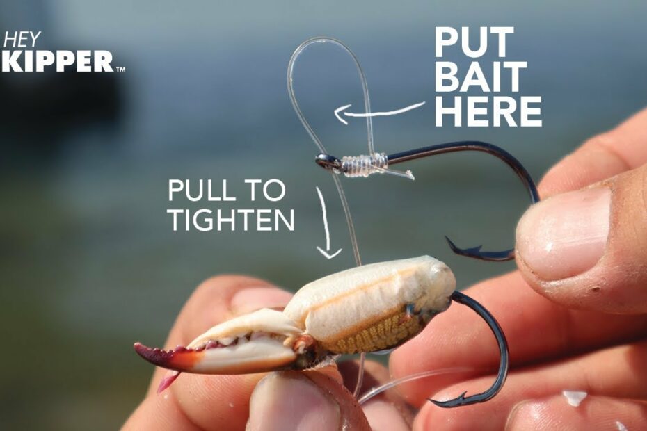 How To Keep Fish From Stealing Your Bait