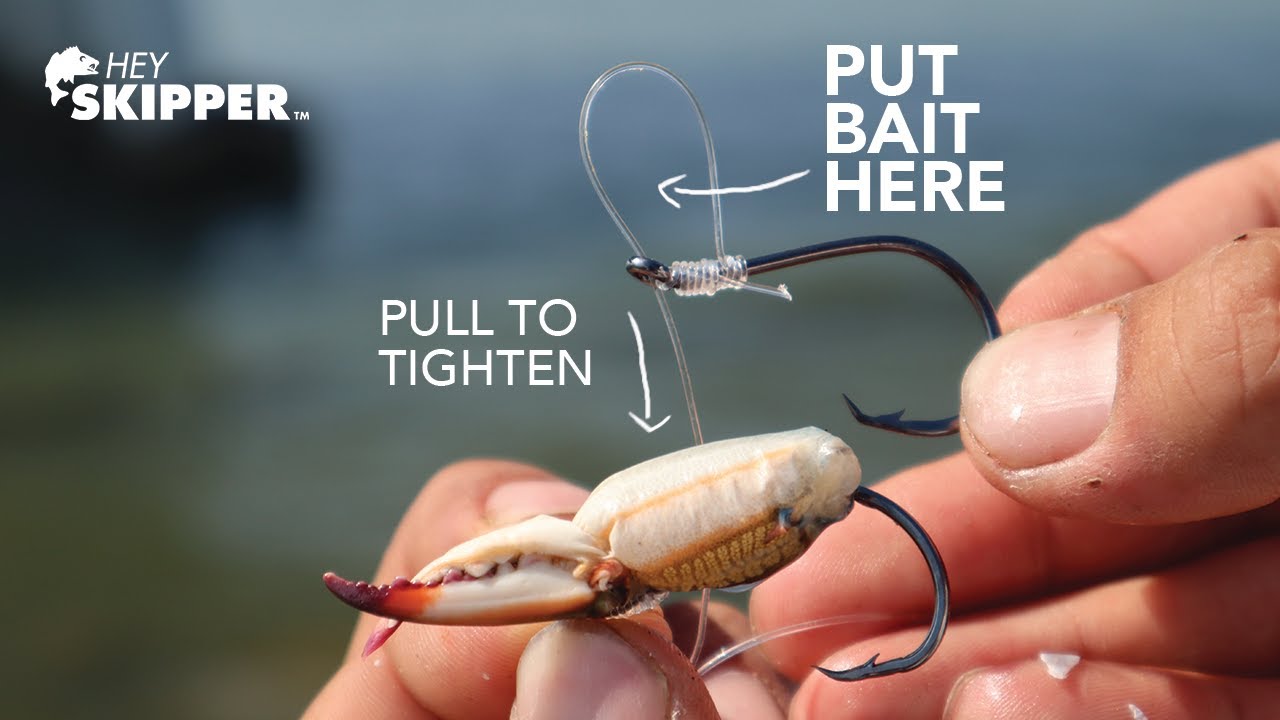 How To Keep Fish From Stealing Your Bait