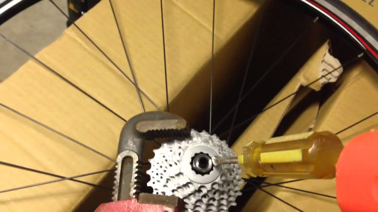 How To Change Bike Cassette Without Tools