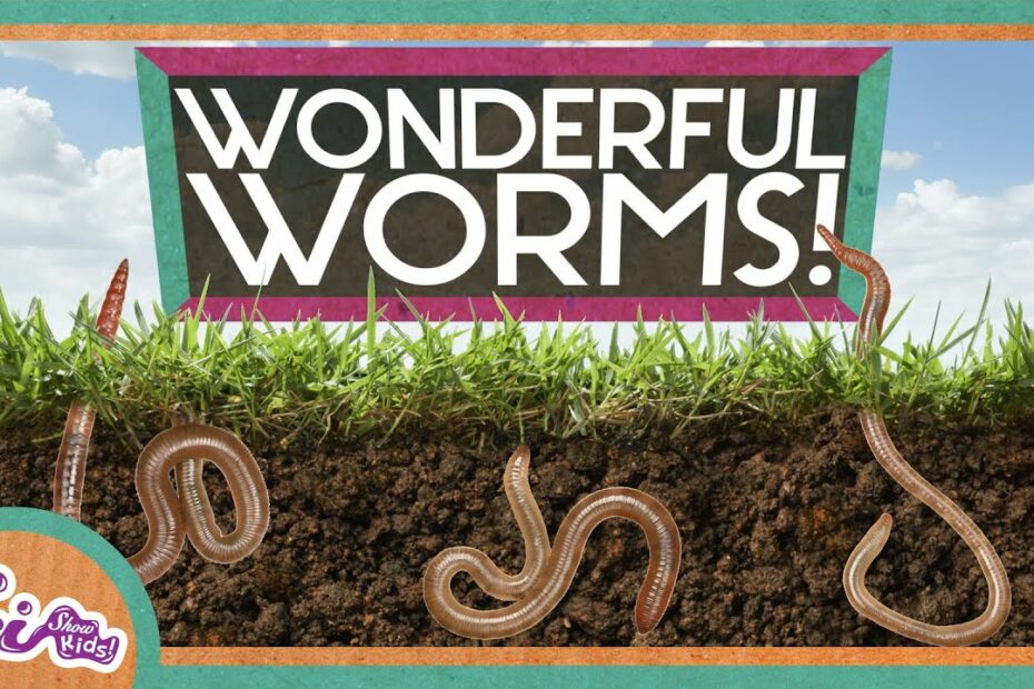 How Do Earthworms Maintain Homeostasis? New Update