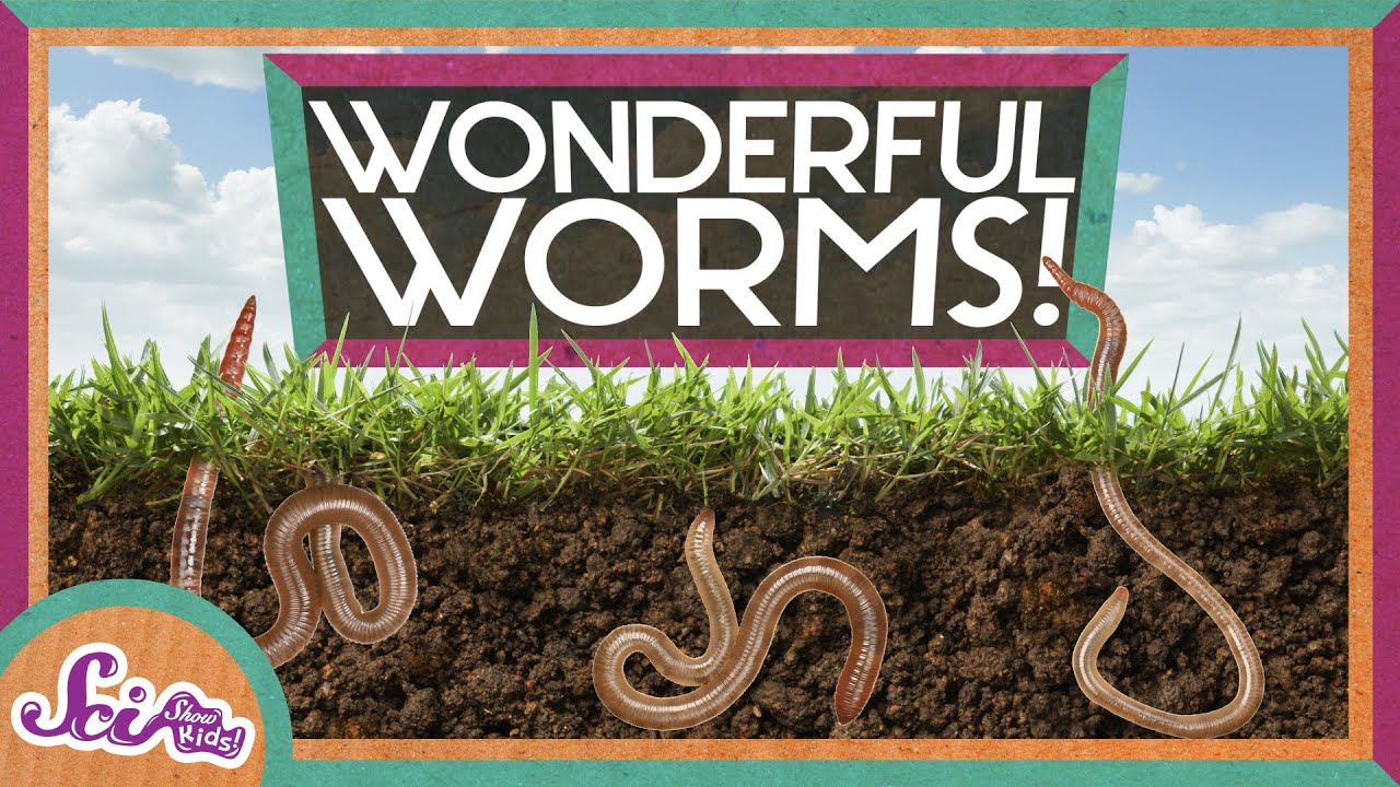 How Do Earthworms Maintain Homeostasis