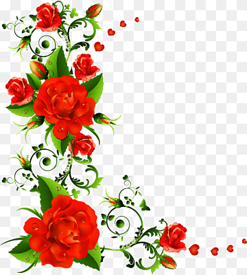 Flower Borders Png Images | Pngwing
