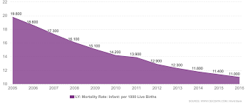 Infant Mortality Rate: A Stark Indicator Of Health Disparities