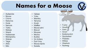 Names With Moose In Them: Unique And Wild Choices