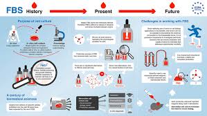 Fetal Bovine Serum Protein Composition: A Detailed Analysis