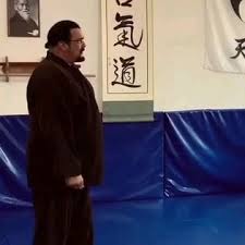 What Martial Arts Does Steven Seagal Know? A Look At His Expertise