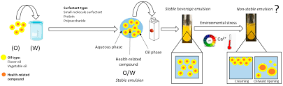 Tween 80 Water In Oil Emulsion: A Comprehensive Guide