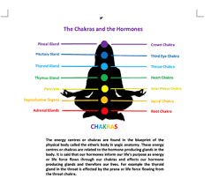 How To Perform Pituitary Gland Meditation: A Step-By-Step Guide