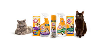 Is Arm & Hammer Cat Litter Deodorizer Safe For Kittens?