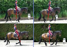 How To Sit A Bouncy Canter: Master The Motion