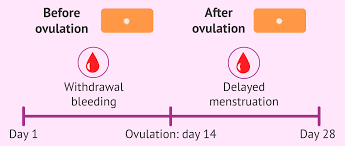 Does Unwanted 72-Hour Delay Period Affect Your Rights?