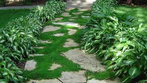 Patio Pavers With Moss: A Natural & Beautiful Design