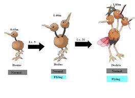 What Does Doduo Evolve Into? A Pokémon Mystery Solved