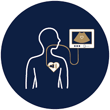 Echocardiogram – Part 3: Types Of Heart Scan