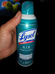 Does Lysol Kill Airborne Mold Spores? The Truth