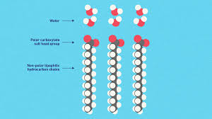 Ion Pair Reversed Phase Hplc: A Comprehensive Guide