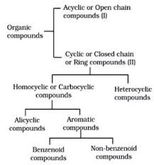 Difference Between Alicyclic And Aromatic Compounds | Definition,  Saturation, Types, Delocalization And Differences
