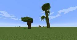 Dark Oak Tree In Minecraft | How To Get Dark Oak Trees In Minecraft?